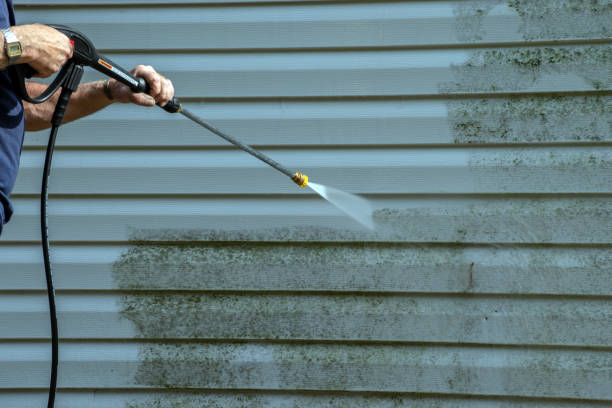Best Deck Cleaning Services  in White Pine, TN