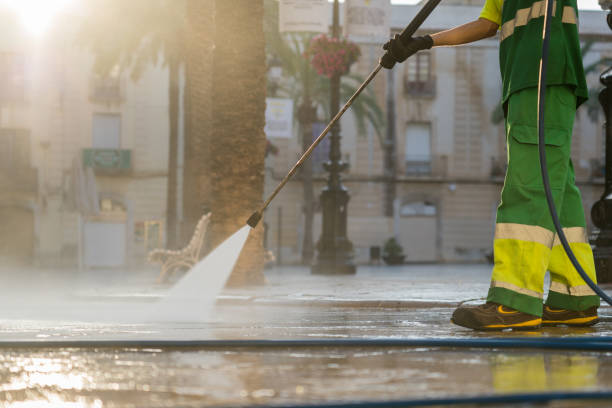 Best Roof Pressure Washing  in White Pine, TN