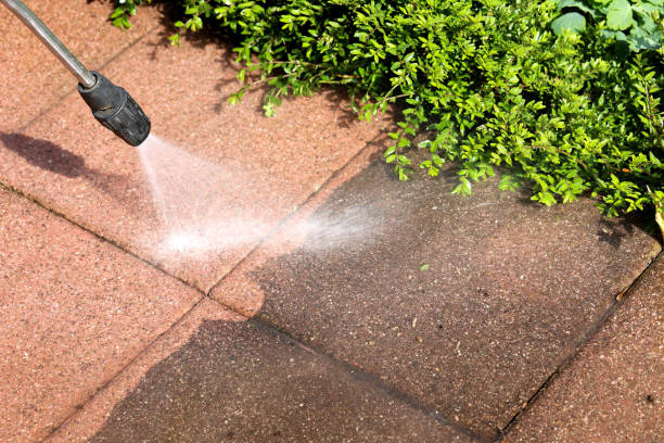 Best Pressure Washing Near Me  in White Pine, TN